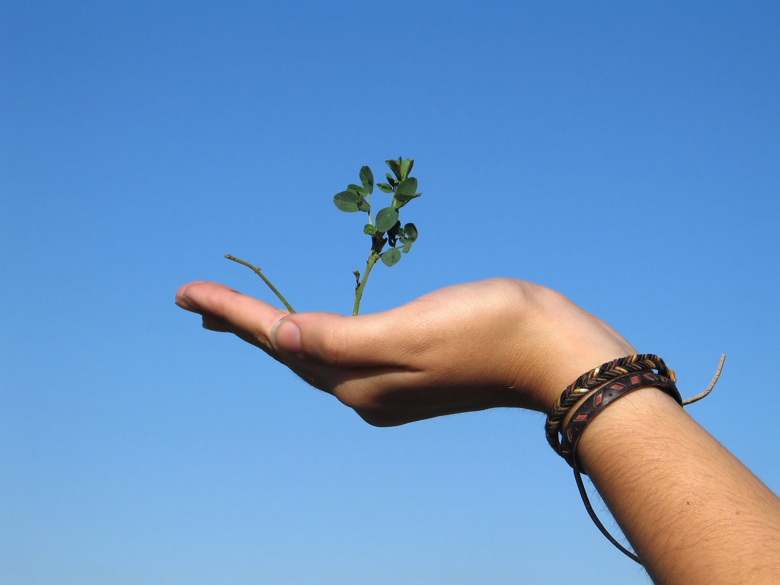 The Health Benefits of Giving health benefits of giving