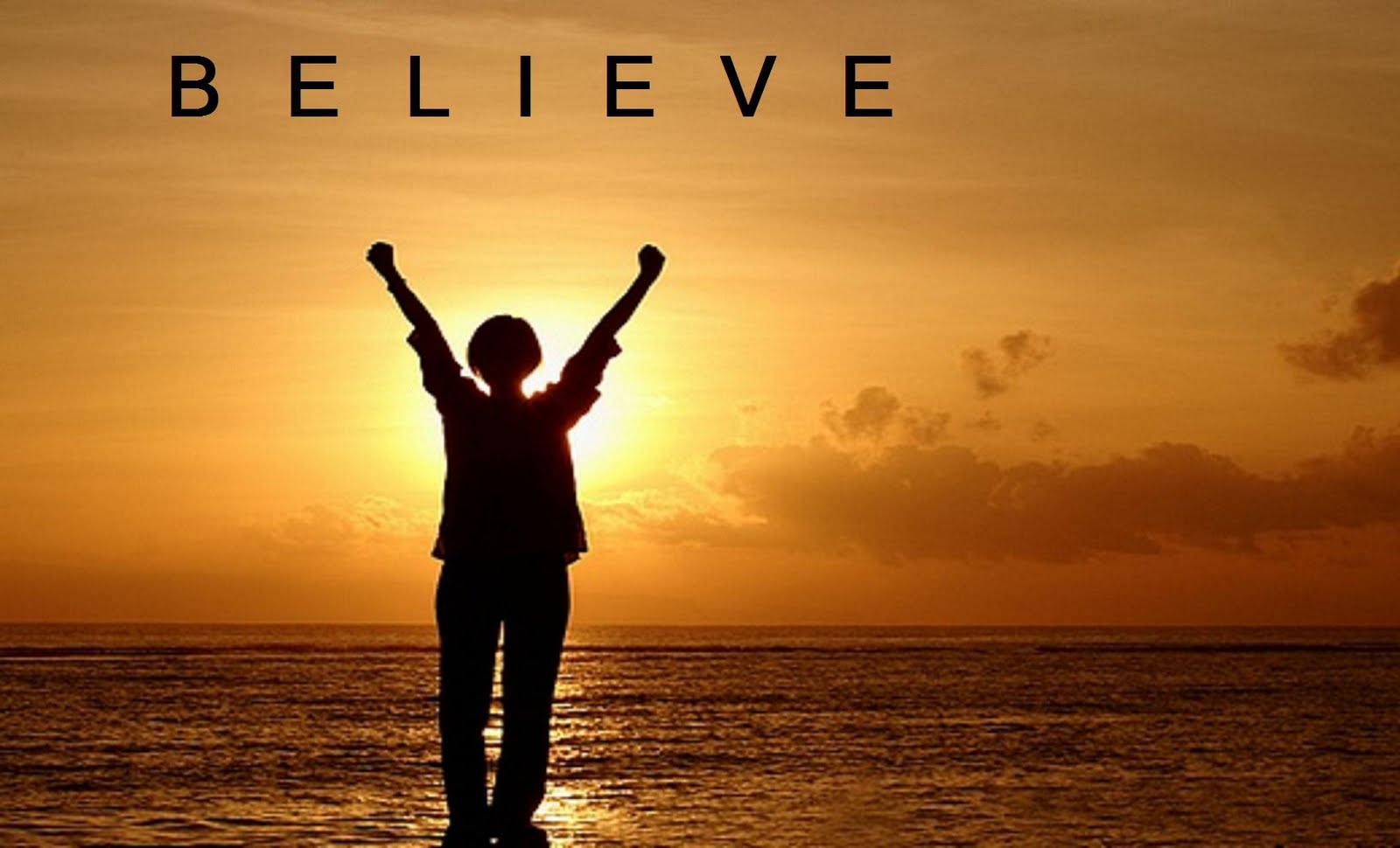 anatole france on action dream plan believe